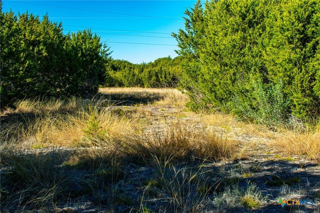 Lot 19 Homestead Drive, Lampasas, TX 76550