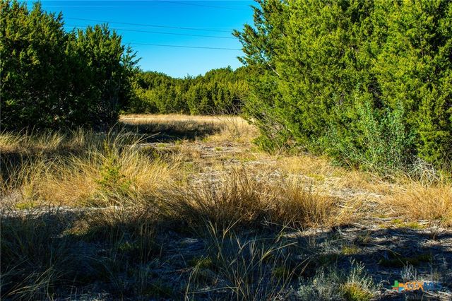 Lot 19 Homestead Drive, Lampasas, TX 76550