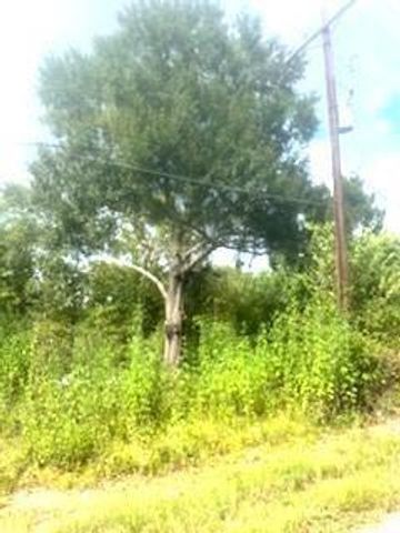 324 W Rockdale Street, Trinity, TX 75862
