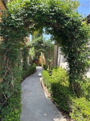 70 Chantilly, Irvine, CA 92620