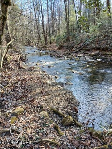 258 Charlie Newberry Rd, Lancing, TN 37770