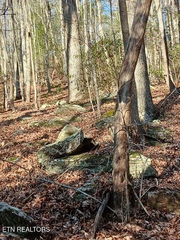 258 Charlie Newberry Rd, Lancing, TN 37770