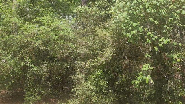 Lot 8 Soapberry Lane, Plantersville, TX 77363