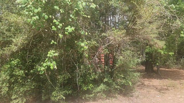Lot 8 Soapberry Lane, Plantersville, TX 77363