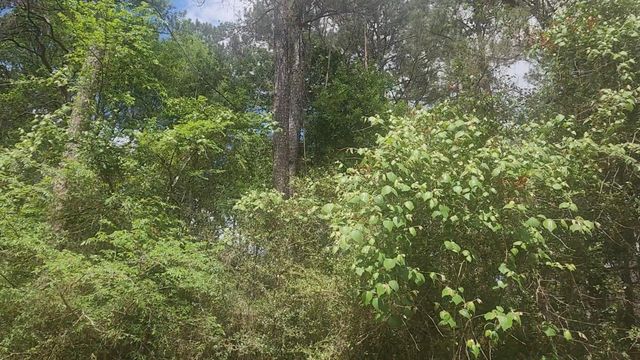 Lot 8 Soapberry Lane, Plantersville, TX 77363