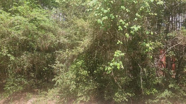 Lot 8 Soapberry Lane, Plantersville, TX 77363
