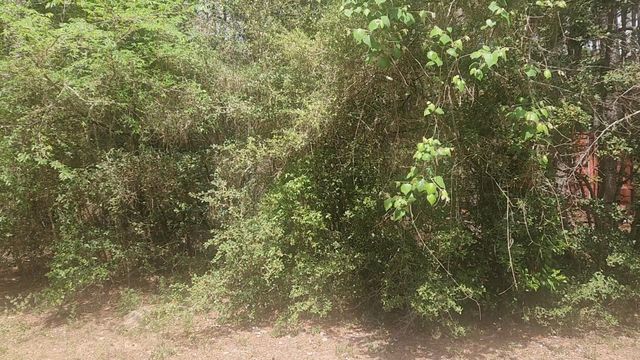 Lot 8 Soapberry Lane, Plantersville, TX 77363