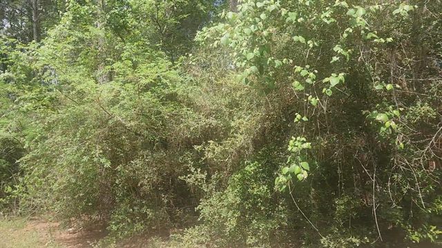 Lot 8 Soapberry Lane, Plantersville, TX 77363