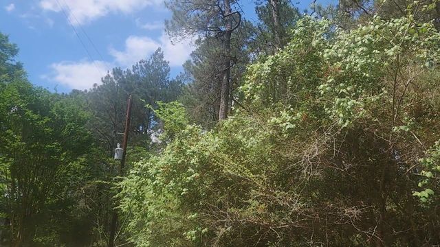 Lot 8 Soapberry Lane, Plantersville, TX 77363