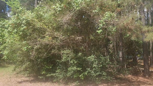 Lot 8 Soapberry Lane, Plantersville, TX 77363
