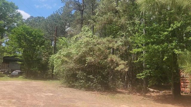 Lot 8 Soapberry Lane, Plantersville, TX 77363
