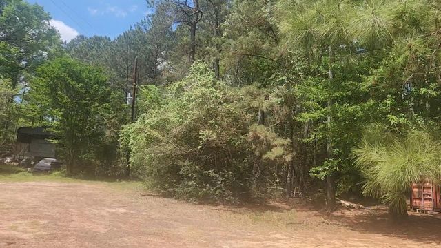 Lot 8 Soapberry Lane, Plantersville, TX 77363
