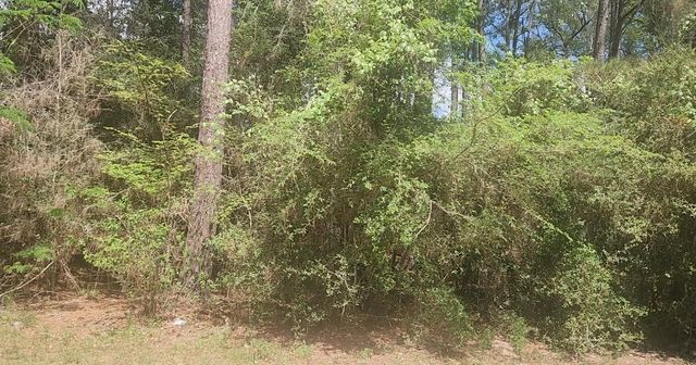 Lot 8 Soapberry Lane, Plantersville, TX 77363