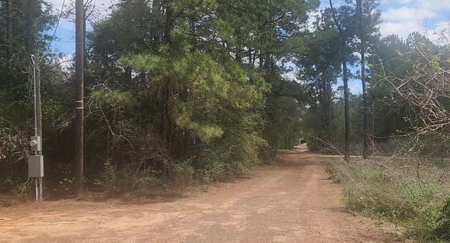 Lot 8 Soapberry Lane, Plantersville, TX 77363