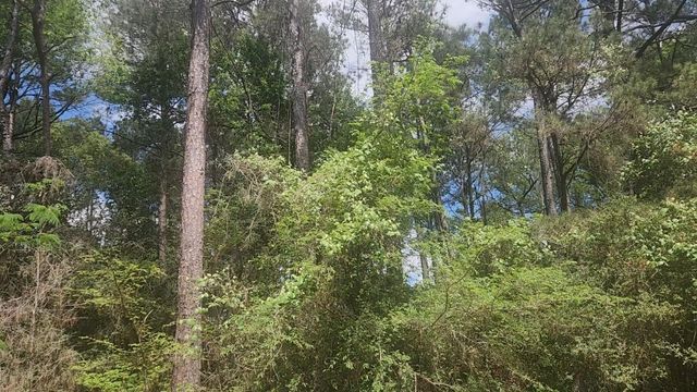 Lot 8 Soapberry Lane, Plantersville, TX 77363