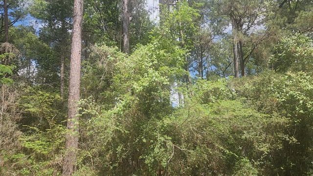 Lot 8 Soapberry Lane, Plantersville, TX 77363