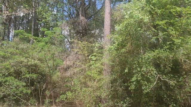 Lot 8 Soapberry Lane, Plantersville, TX 77363