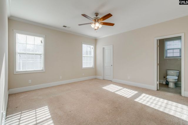 141 Palm Street, Chapin, SC 29036