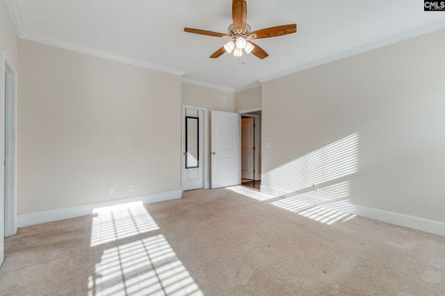 141 Palm Street, Chapin, SC 29036