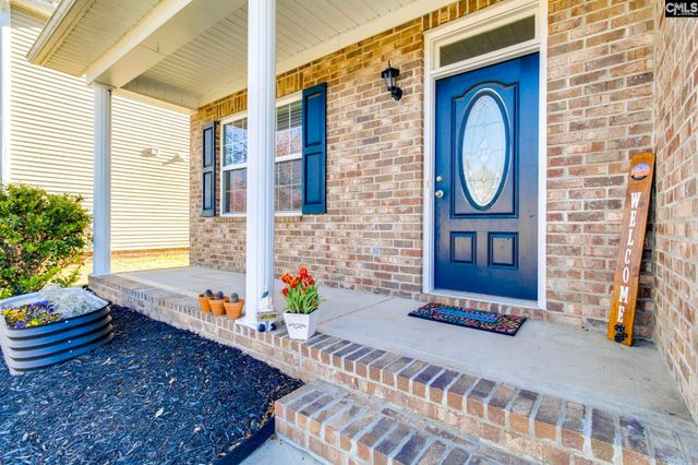 141 Palm Street, Chapin, SC 29036