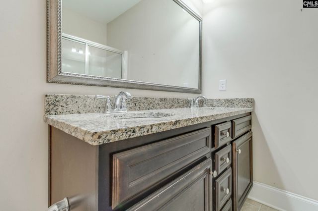 141 Palm Street, Chapin, SC 29036