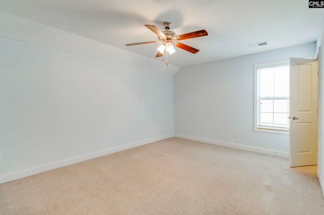 141 Palm Street, Chapin, SC 29036