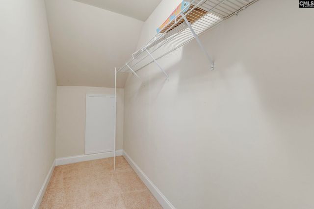 141 Palm Street, Chapin, SC 29036