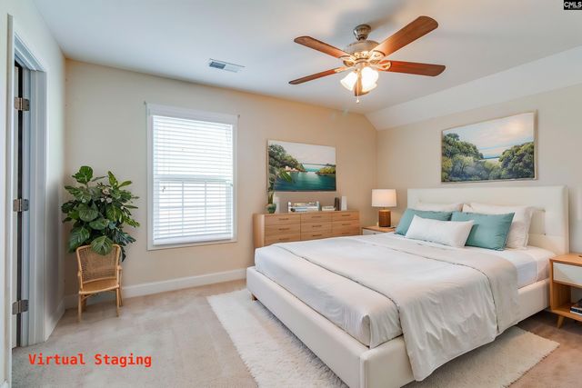 141 Palm Street, Chapin, SC 29036