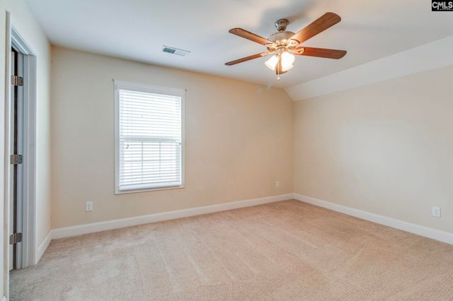 141 Palm Street, Chapin, SC 29036