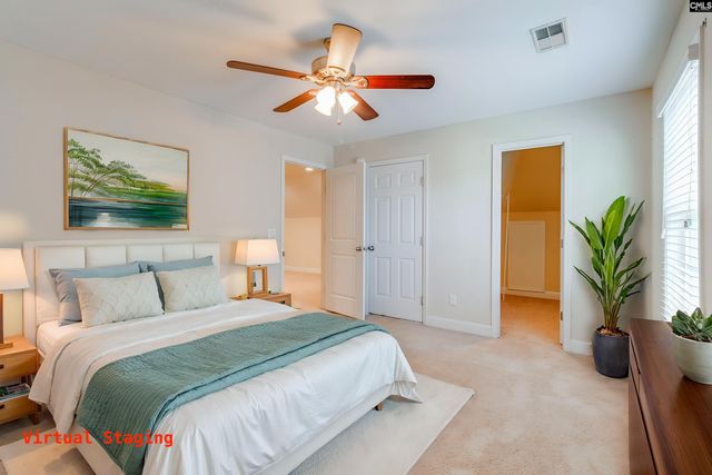 141 Palm Street, Chapin, SC 29036