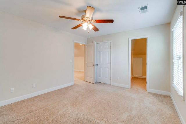 141 Palm Street, Chapin, SC 29036