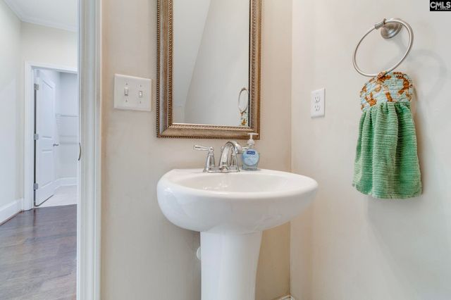 141 Palm Street, Chapin, SC 29036