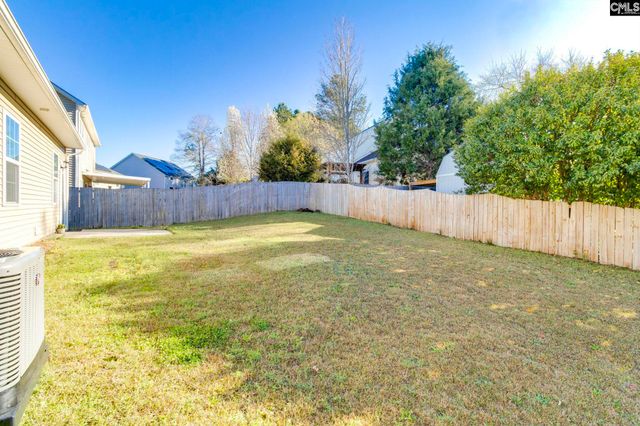 141 Palm Street, Chapin, SC 29036