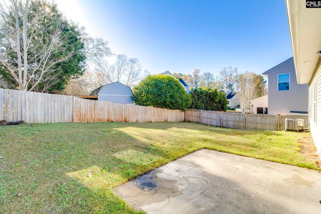 141 Palm Street, Chapin, SC 29036