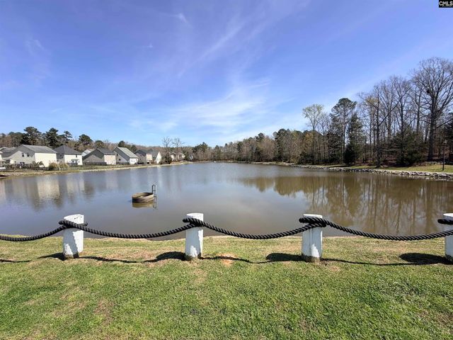 141 Palm Street, Chapin, SC 29036