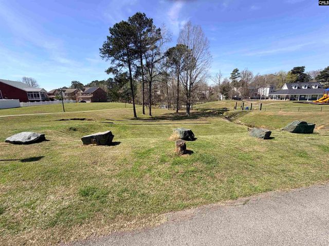 141 Palm Street, Chapin, SC 29036