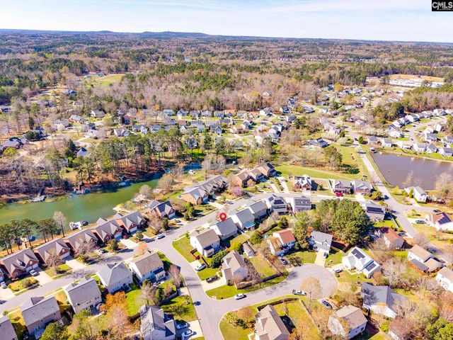 141 Palm Street, Chapin, SC 29036