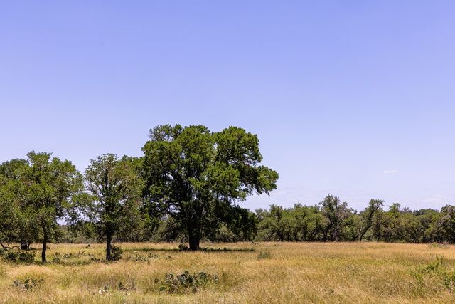 190 Jones Rd, Kerrville, TX 78028