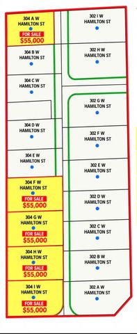 304 W Hamilton Street, Houston, TX 77091