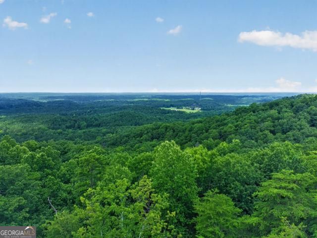 726 Railey Ridge NE, Ranger, GA 30734