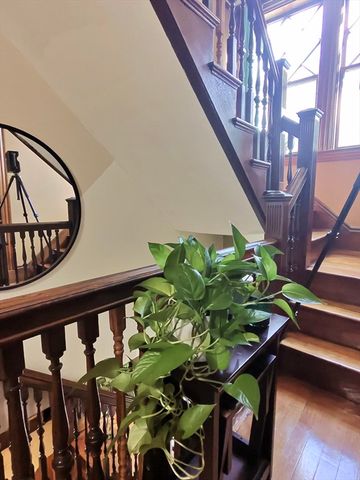 19 Mt Ida Road, Boston, MA 02122