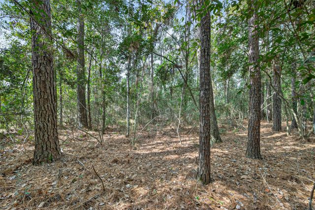 Lot 453 North Woods, Cleveland, TX 77328
