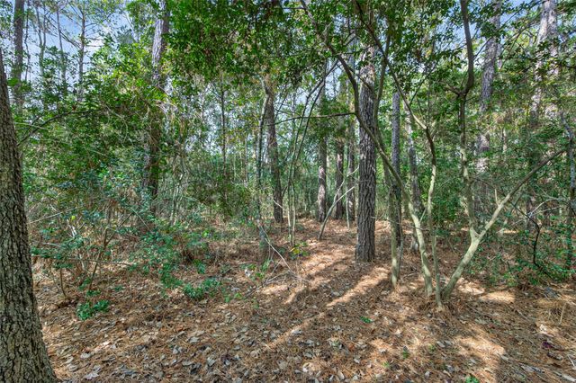 Lot 453 North Woods, Cleveland, TX 77328