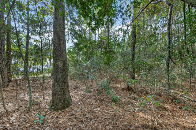 Lot 453 North Woods, Cleveland, TX 77328