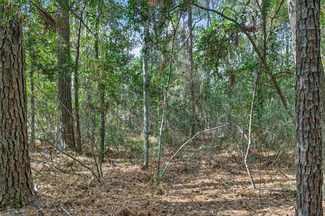 Lot 453 North Woods, Cleveland, TX 77328