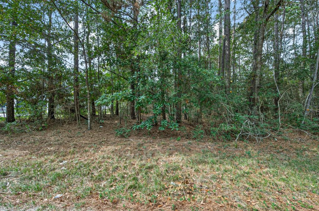 Lot 453 North Woods, Cleveland, TX 77328