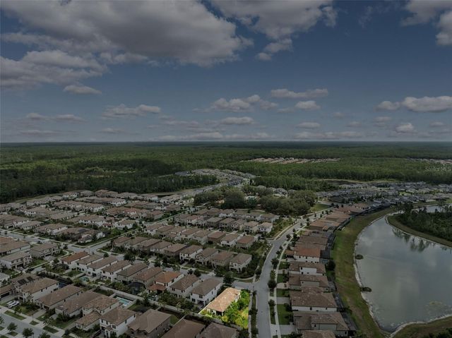 3877 BURDICK LOOP, Odessa, FL 33556