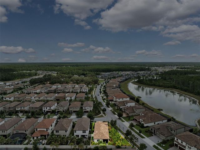 3877 BURDICK LOOP, Odessa, FL 33556