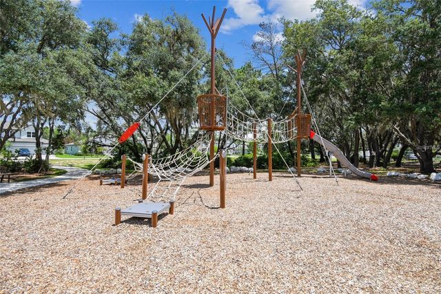 3877 BURDICK LOOP, Odessa, FL 33556