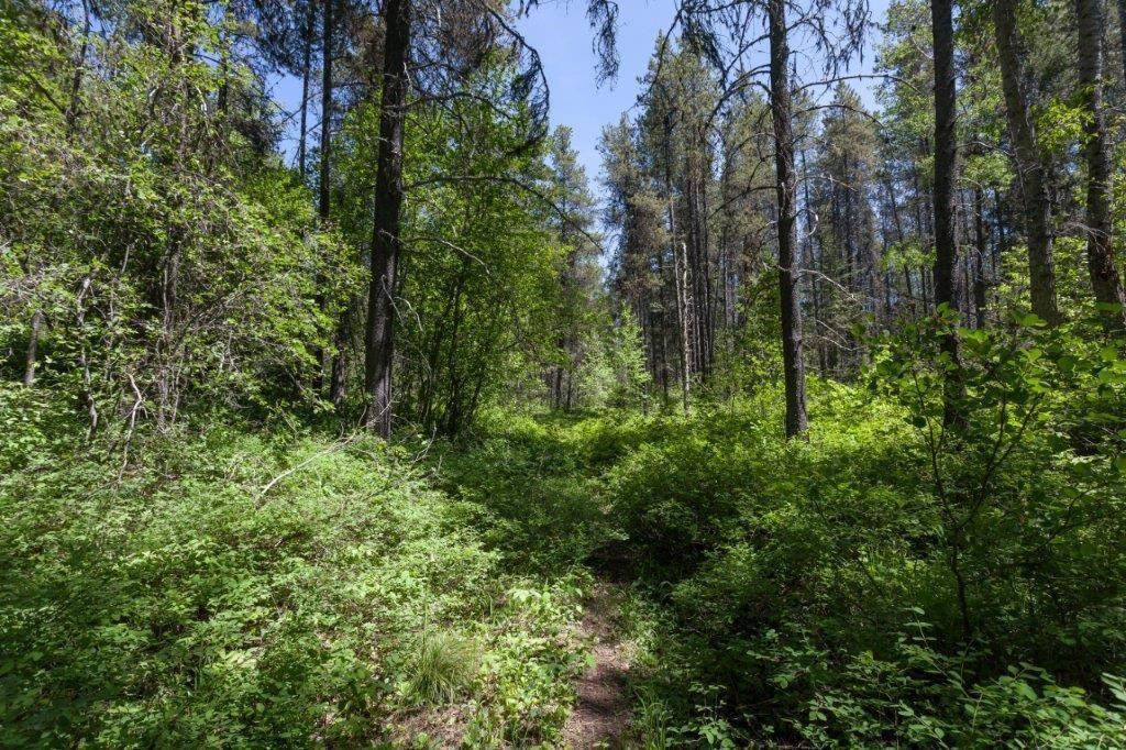 NHN Belton Stage, West Glacier, MT 59936 photo 16